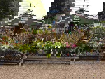 Moyness Nurseries & Garden Centrex
